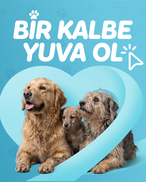 Sahiplendirme İlanları